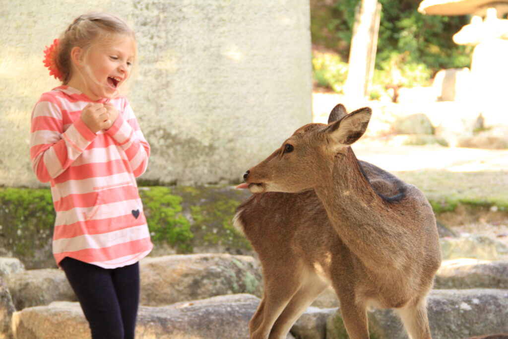 A deer next to a child on Miyajima island in Hiroshima, Japan